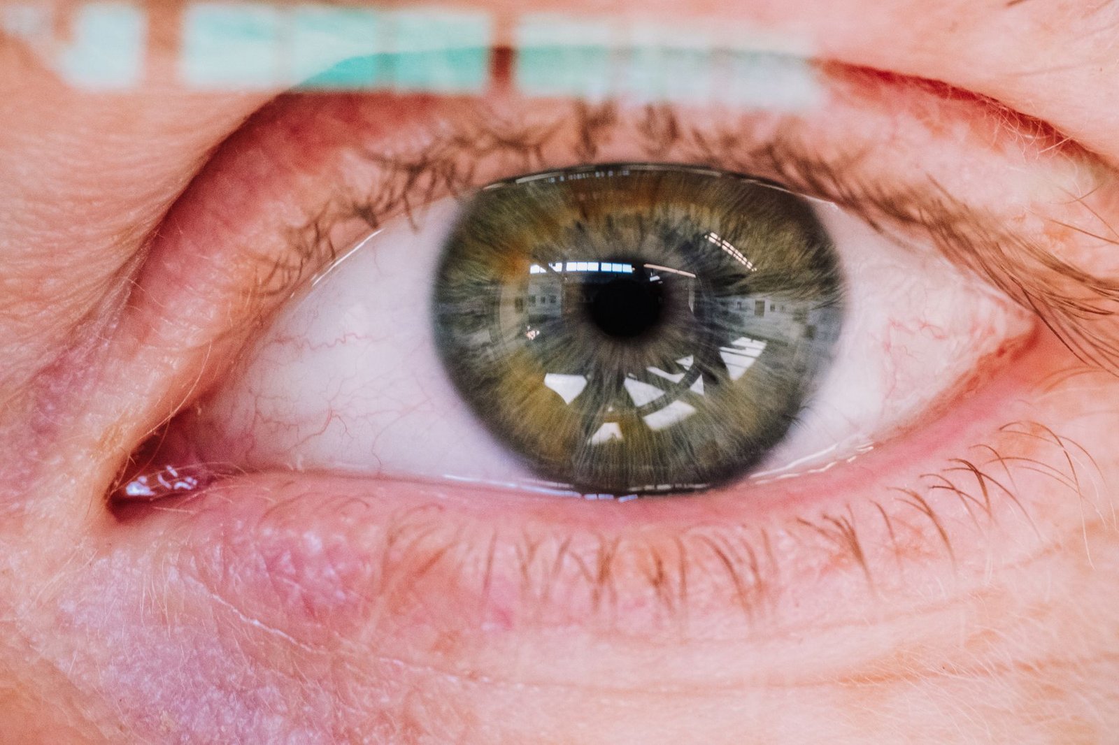 The Tiny Tech That's Changing How We See the World