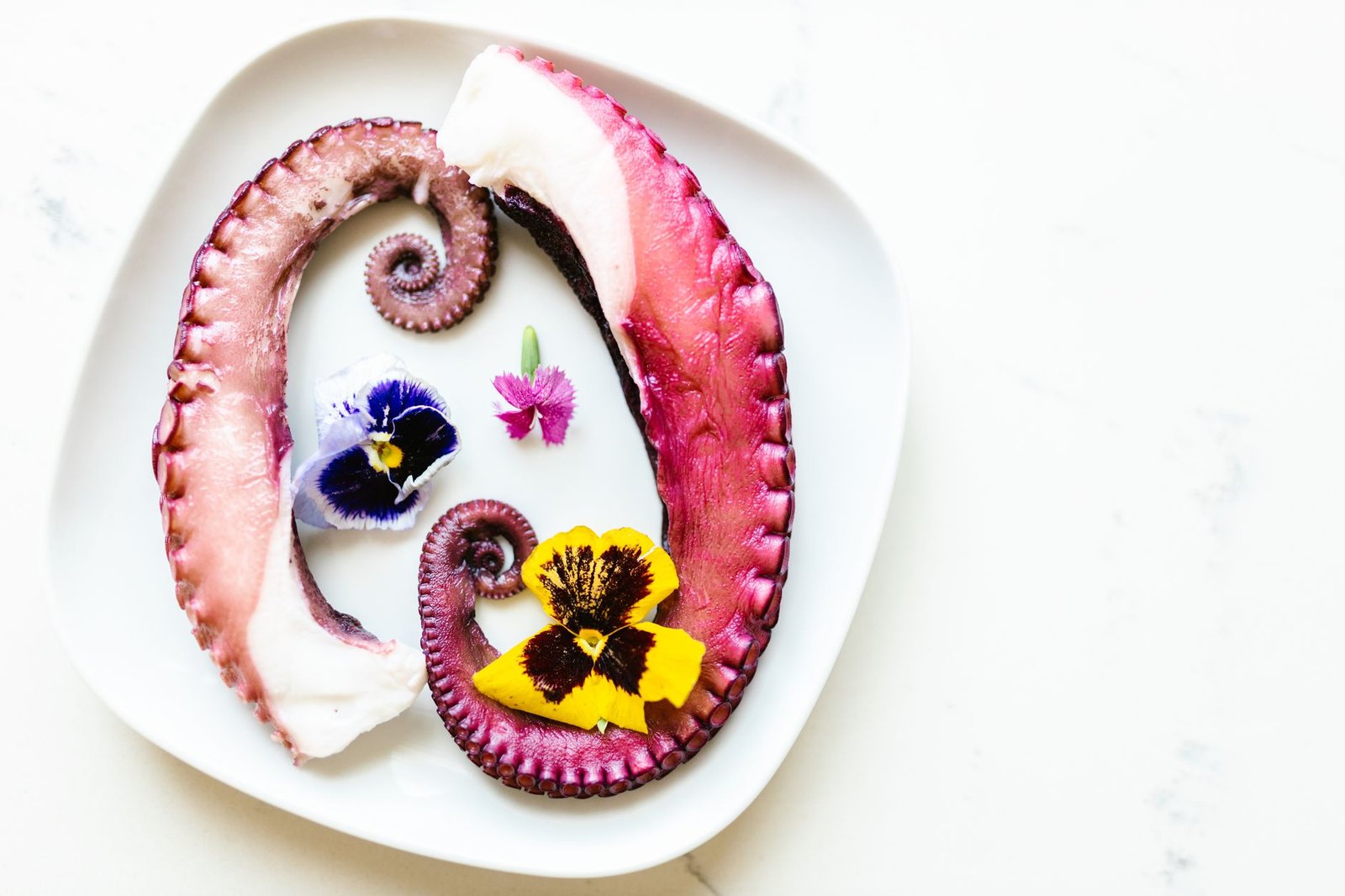 The Surprising World of Edible Flowers in 2026: More Than Just a Pretty Garnish