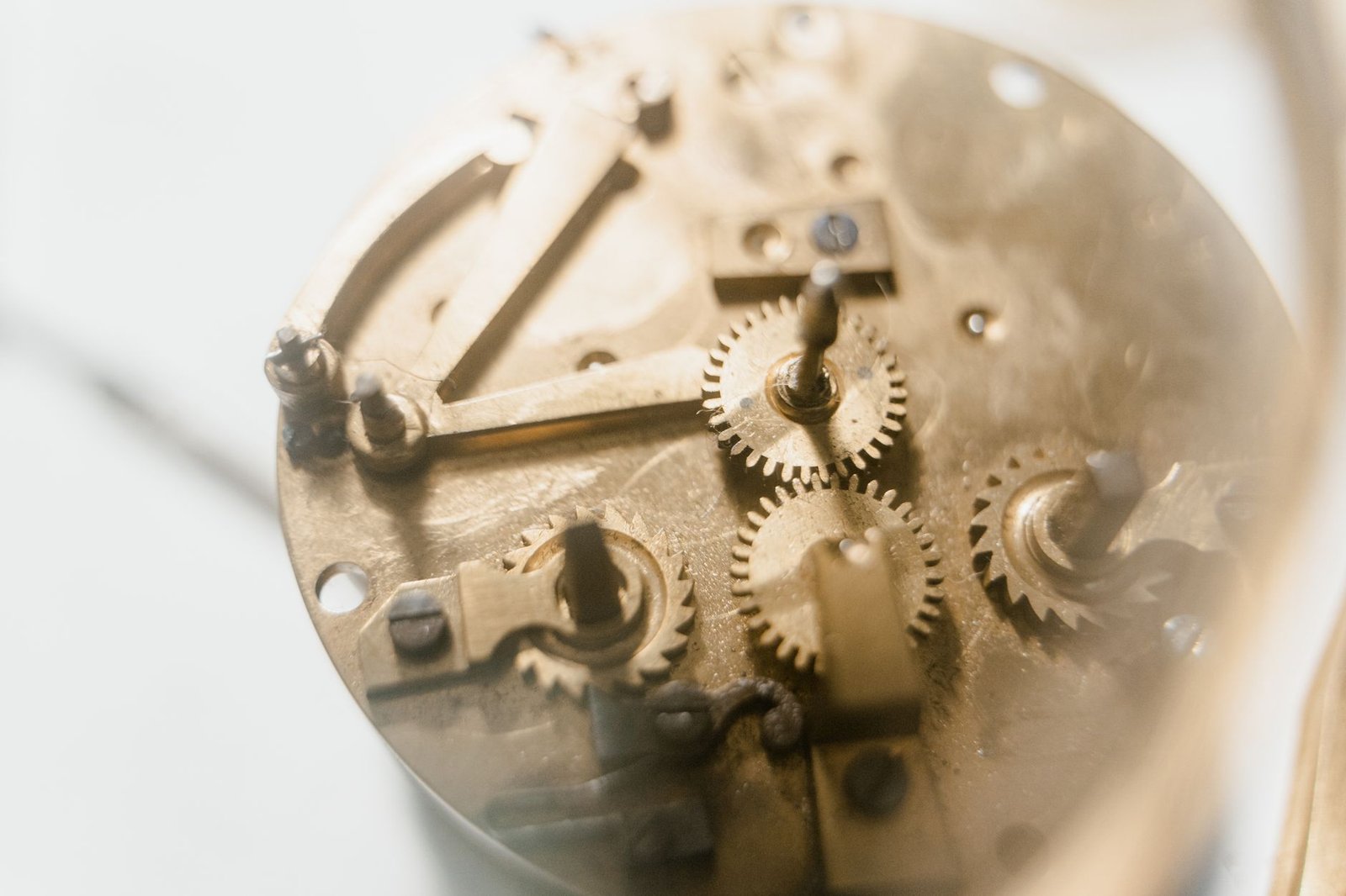 Beyond the Brand: What Makes a Vintage Watch Truly Valuable?