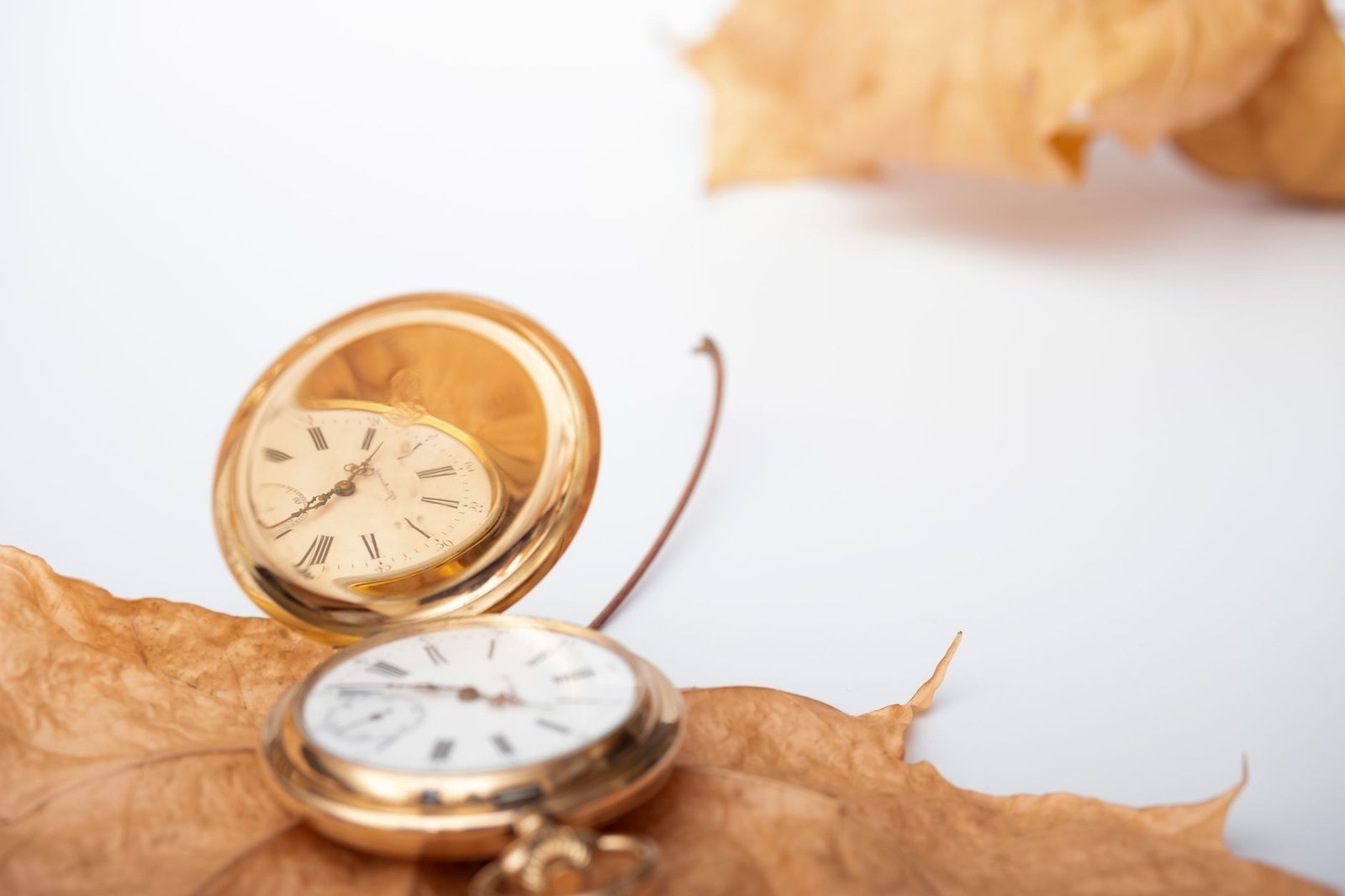 Smart Money on the Wrist: Investing in Vintage Luxury Watches for 2026